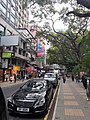 HK TST 尖沙咀 Tsim Sha Tsui 海防道 Haiphong Road 樟樹 Camphora trees March 2021 SS2 08.jpg