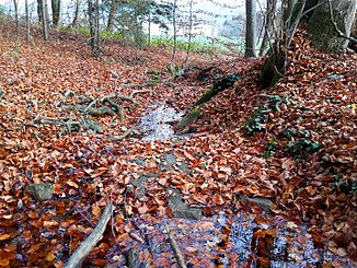 The Haumesserbach at the disc stand with a view down the stream