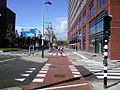 Hauptstraßenradweg - Main road cycle lane in Amsterdam (2).jpg