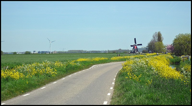 File:Hazerswoude-Rijndijk-Rooie Wip-04.jpg