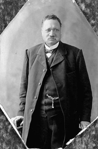 <span class="mw-page-title-main">Henare Tomoana</span> New Zealand politician (died 1904)