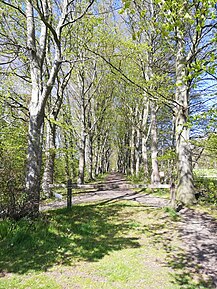 Hertendreef nabij kasteel De Herten (zicht vanuit de Waterstraat)