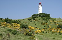 Leuchtturm Dornbusch auf der autofreien Insel Hiddensee