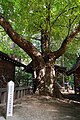 150921 Hotaka-jinja Azumino Nagano pref Japan08n.jpg