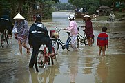 Straße von Hoi An nach My Son