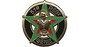 Vignette pour 31e régiment du génie