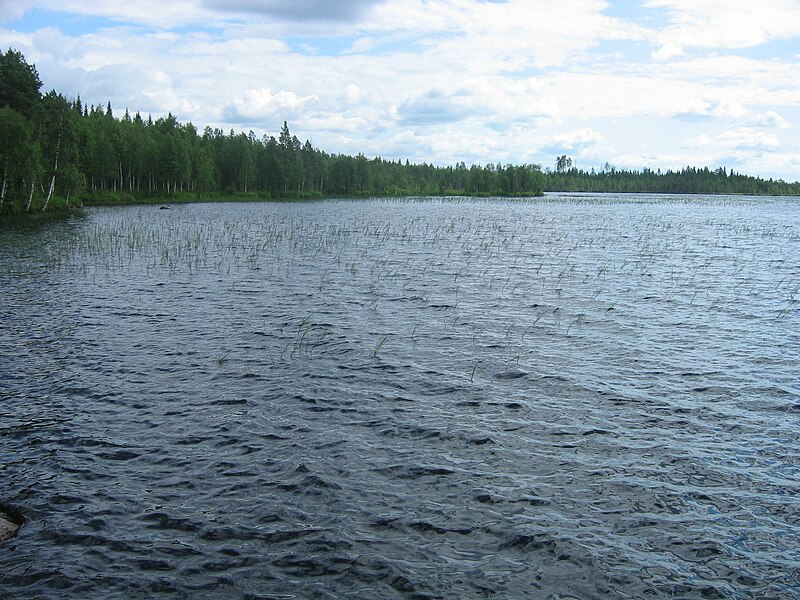 File:Iso Kivijärvi.JPG