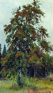 Thumbnail for File:Ivan Shishkin Rowan tree.jpg