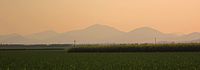 Grassland in Queensland with mountains in background.