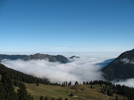 Kienberg Morning Fog