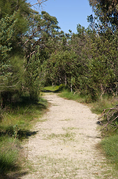 File:Kings park gnangarra 250815-112.jpg