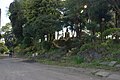 観音寺曲輪土塁（頼政神社付近）