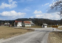 Kozljek Slovenia 2.jpg