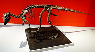 <i>Kulindadromeus</i> Extinct genus of dinosaurs