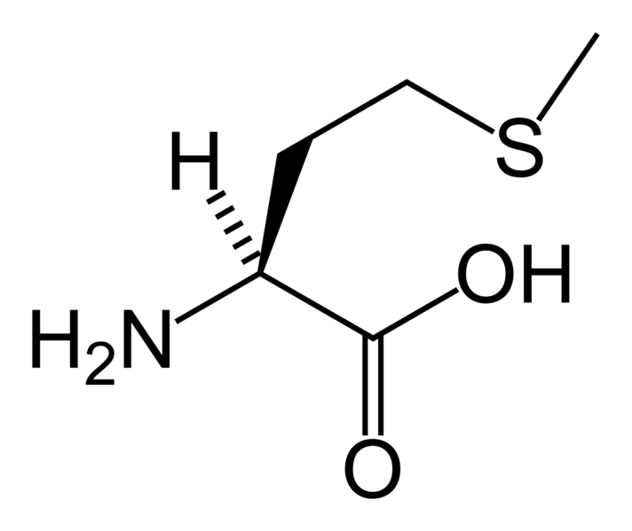 File:L-methionine-skeletal.png