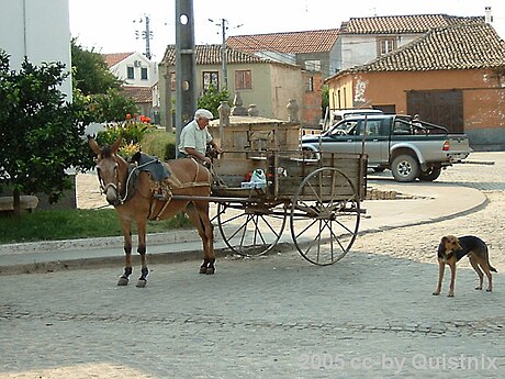 Ladoeiro