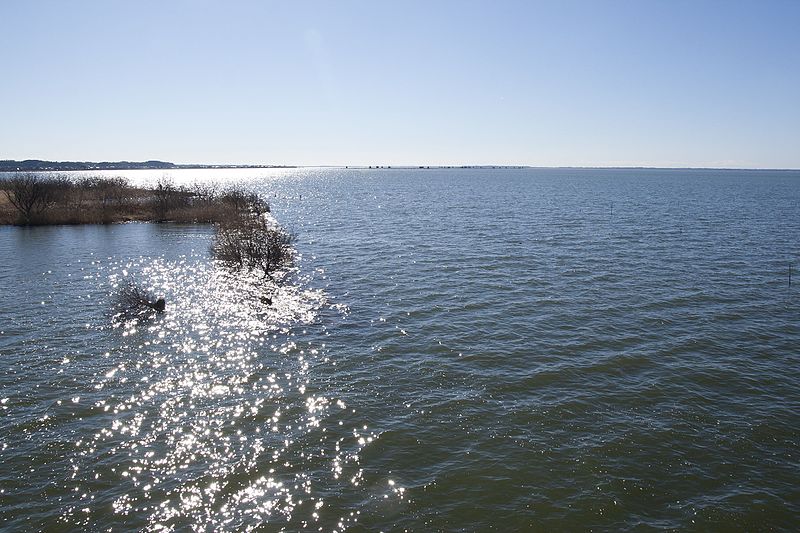 File:Lake Kasumigaura from Namegata City 09.jpg