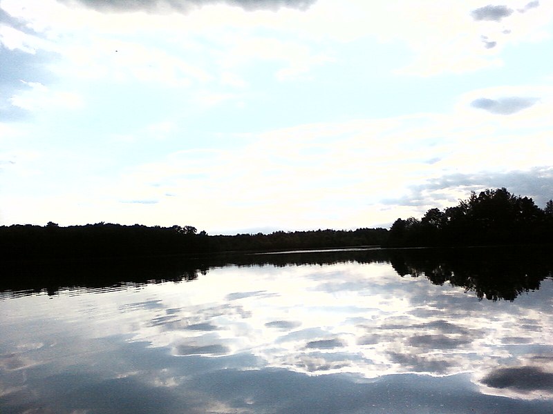 File:Lake Ovid, Michigan.jpg