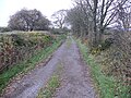 Thumbnail for File:Lane to Carsegowan - geograph.org.uk - 2143090.jpg