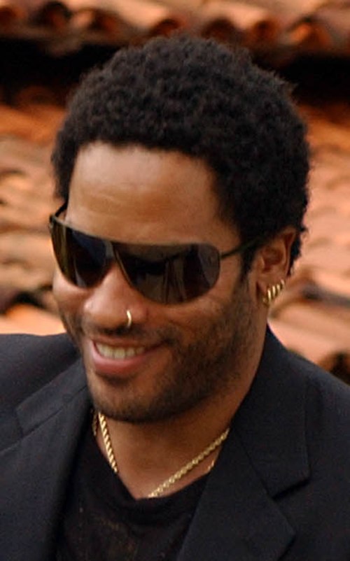 Four-time award winner Lenny Kravitz