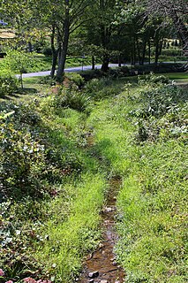 Lick Creek (Shamokin Creek tributary)