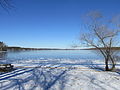 Thumbnail for Long Pond (Lakeville, Massachusetts)