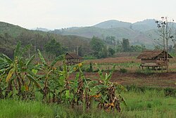 On the road from Luang Namtha to Luang Prabang