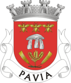 Wappen von Pavia