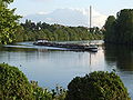 Mainbiegung bei Raunheim mit Frachschiff -Stadt Gera- in Bergfahrt