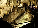 Mammoth Cave National Park 002.jpg