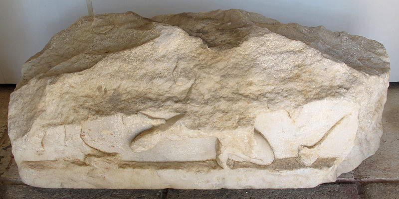 File:Mausoleo di alicarnasso, frammenti del fregio 02.JPG
