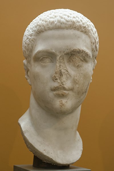 File:Maximus Ny Carlsberg Glyptotek IN823.jpg