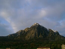 Monte Bulgheria visto da Bosco (SA).jpg
