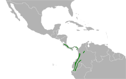 Morphnarchus princeps map.svg