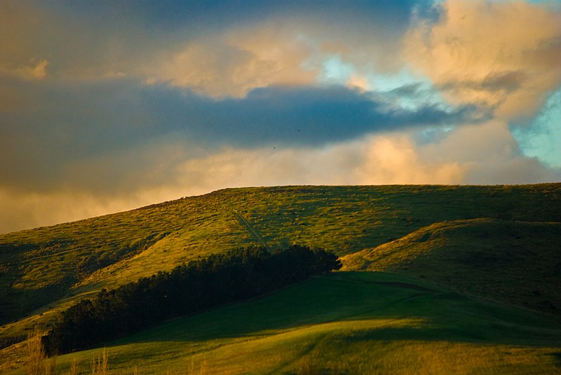 File:Motukarara, Canterbury, New Zealand.jpg