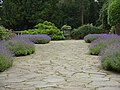 Mount Stewart, County Down, lavender lined patio.jpg