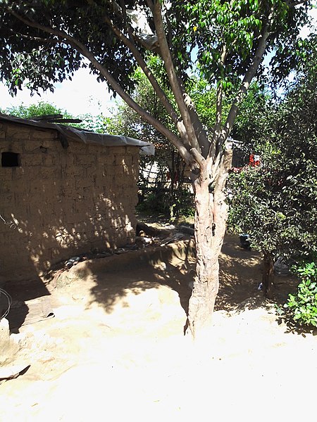 File:Mud or clay brick house in Chipata Compound.jpg