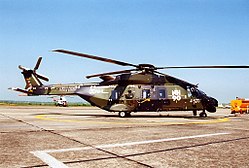 NHI NH-90 TTH, Germany - Army AN0237175.jpg
