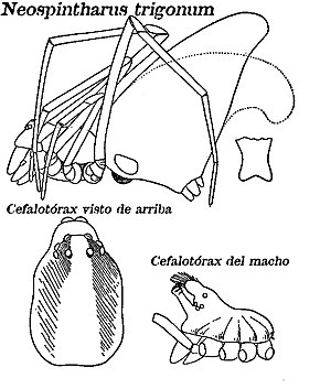 Descrição desta imagem, também comentada abaixo