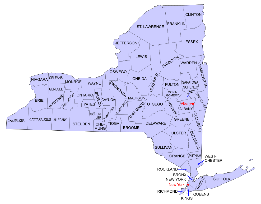 Partition and secession in New York