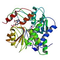 OPRTase in Complex with OM