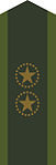 Uniform m/58, m/59 och 90, kragspegel (1959-2019)