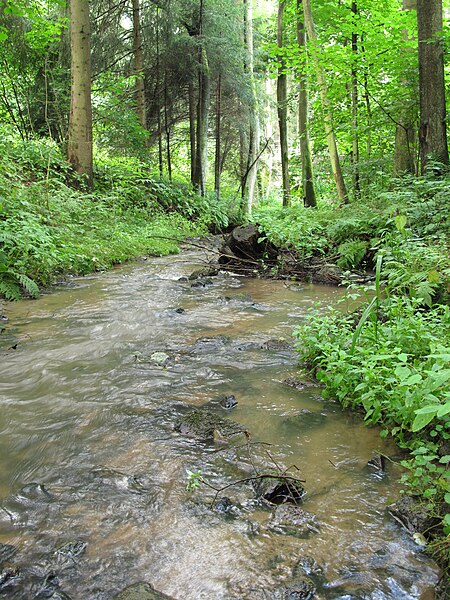 File:Okrouhlický potok u Dlouhého Pole (002).JPG