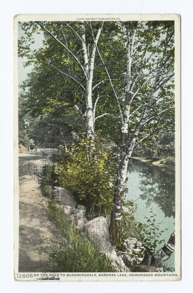 File:On the Road to Bloomingdale, Saranac Lake, Adirondack Mountains, N.Y (NYPL b12647398-69970).tiff