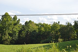 <span class="mw-page-title-main">Orange Springs</span> Historic house in Virginia, United States