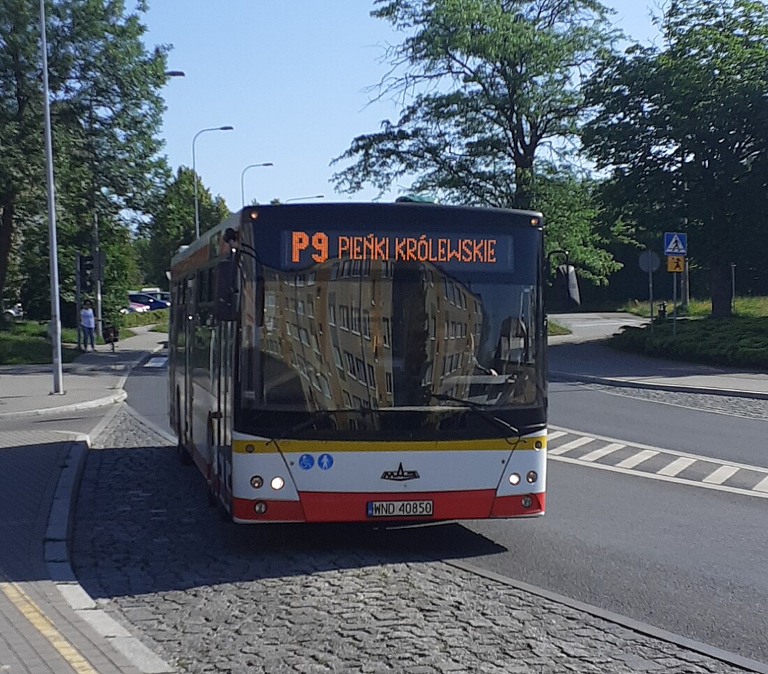 Powiatowy Transport Publiczny w powiecie grudziądzkim