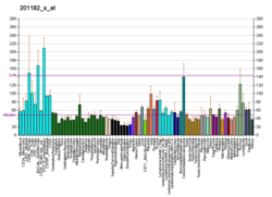 PBB GE CHD4 201182 s és fs.png