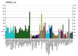 PBB GE DCTN3 204246 s at fs.png