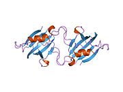 PDB 1eym EBI.jpg