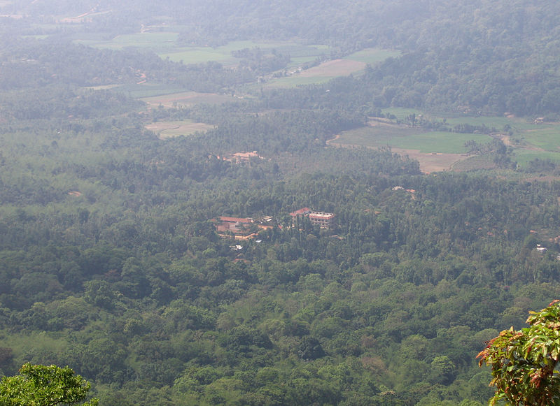 File:Pakshipathalam - views from the way to Pakshipathalam from Thirunelli (15).jpg